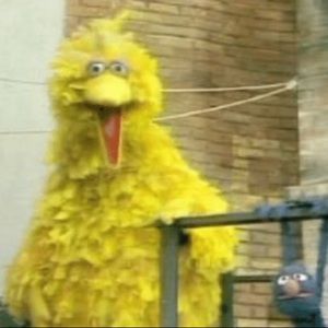 Meet your Posher, Allyson